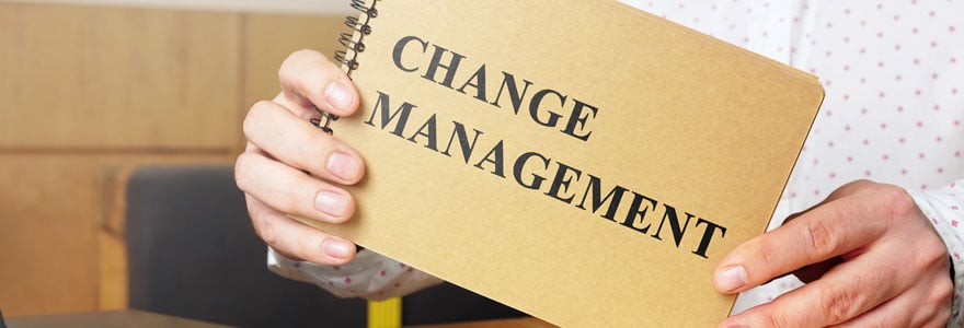 management de transition